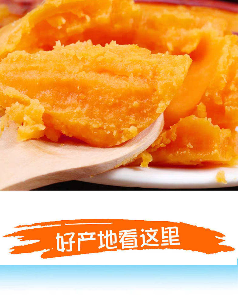 绿巧音 新鲜农家香甜蜜薯 5斤 图3