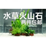 Украшение воды -Современная павлинская рыба вулканическая каменная вода