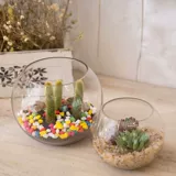 Прозрачный креативный стеклянный аквариум