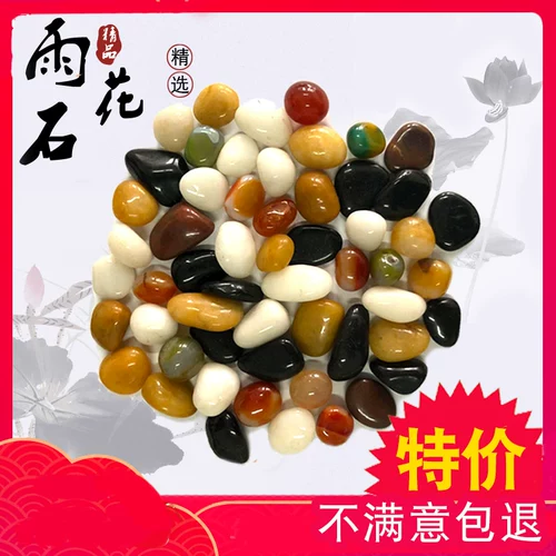 Натуральный дождь цветок камень галька танк озеленение грубые белый камень