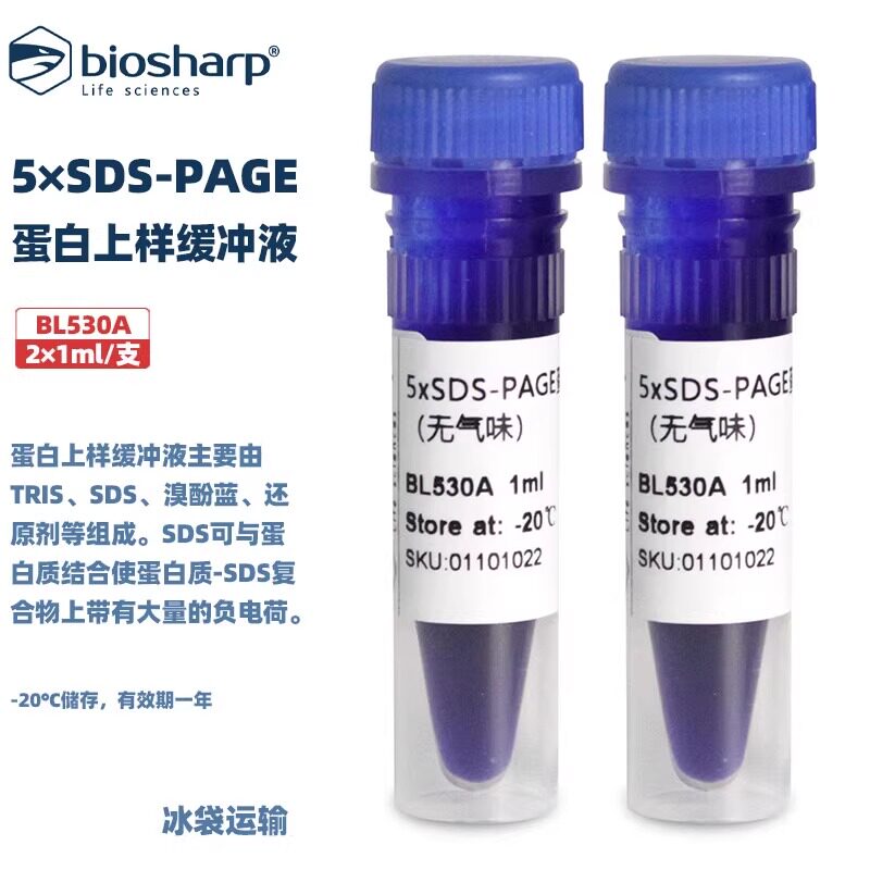 白鲨 BL530A BL530B 5&times;SDS-PAGE蛋白上样缓冲液（无气味）