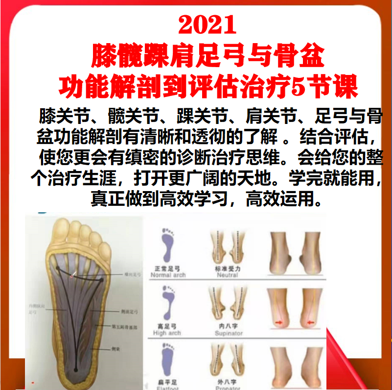 Joint Assessment, Anatomy, and Treatment Videos for Self-Study in Sports Rehabilitation, Yoga, and Pilates