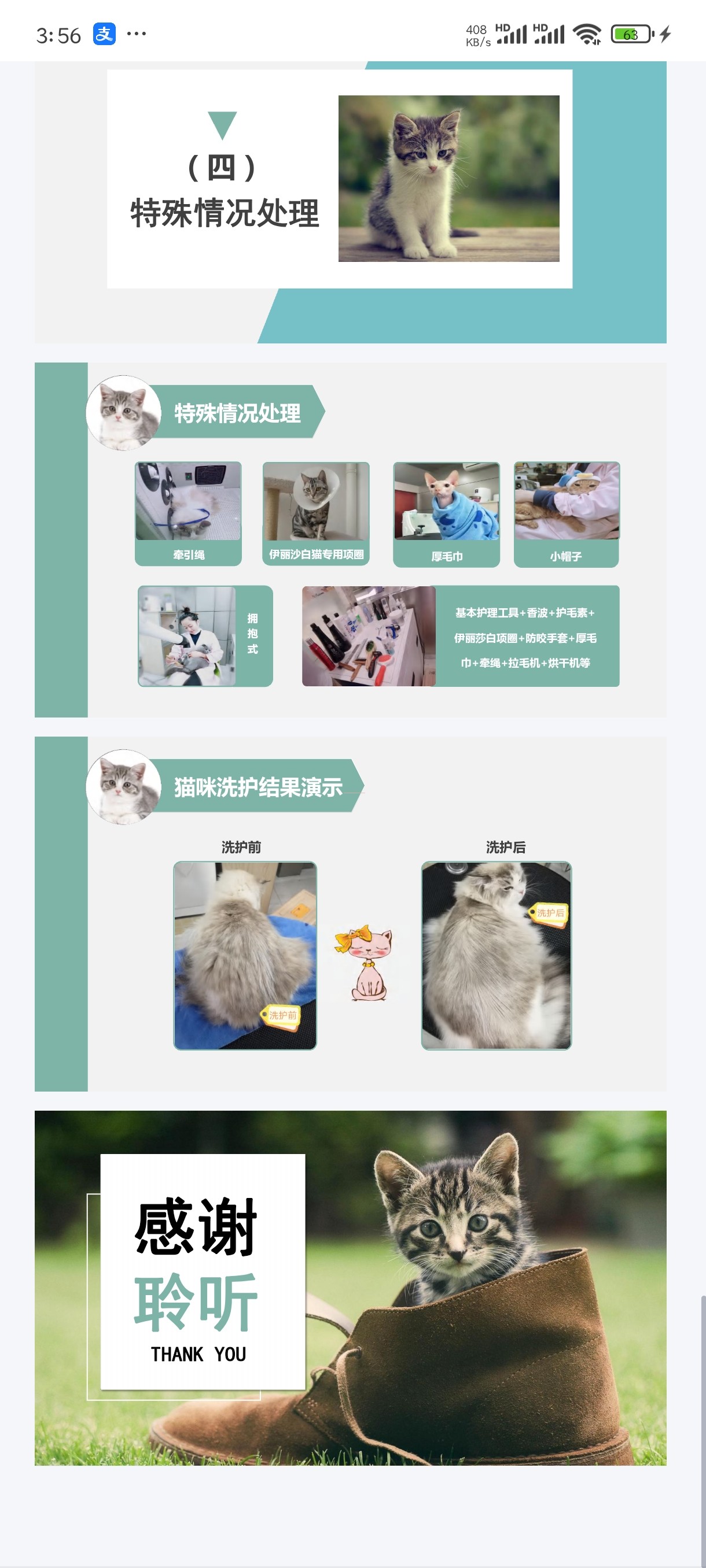 宠物怎么配种?2026年的智能繁育与健康管理