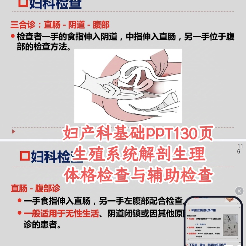 Female Reproductive System Anatomy Ppt, Gynecological Physiological Physical Examination Ppt Slides, Courseware and Auxiliary Examinations Female Reproductive System Anatomy Ppt, Gynecological Physiological Physical Examination Ppt Slides, Courseware and Auxiliary Examinations