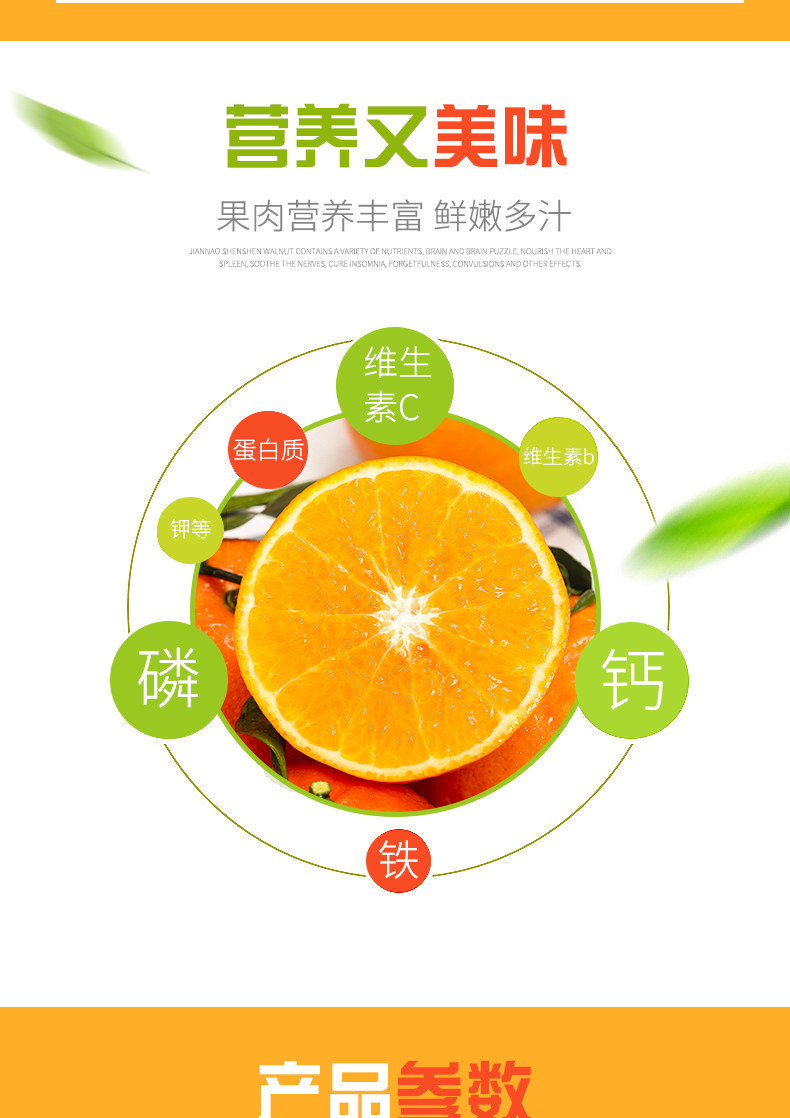 正宗广西沃柑砂糖橘 5斤 现摘现发 图2