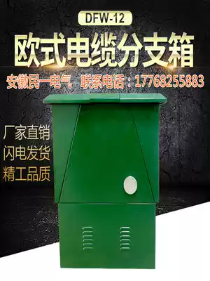 DFW-12 630 high voltage European style cable branch box 10kv one in and one out cable branch box Stainless steel housing