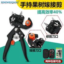 Graft cutting grafting tool for grafting knife and garden grafting tool for grafting and grafting of sapling graft in Miao graft