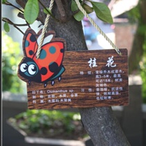 Green Plant Introduction Horticultural Ecological Park Solid Wood Sun Protection Tree Famous Brand Listing Listing Portable