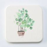 СущностьДиатомовая почва абсорбирующая подушка