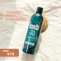 Yoo Sauce Recommended) American Jason Natural Tea Shampoo Mint Mild Care