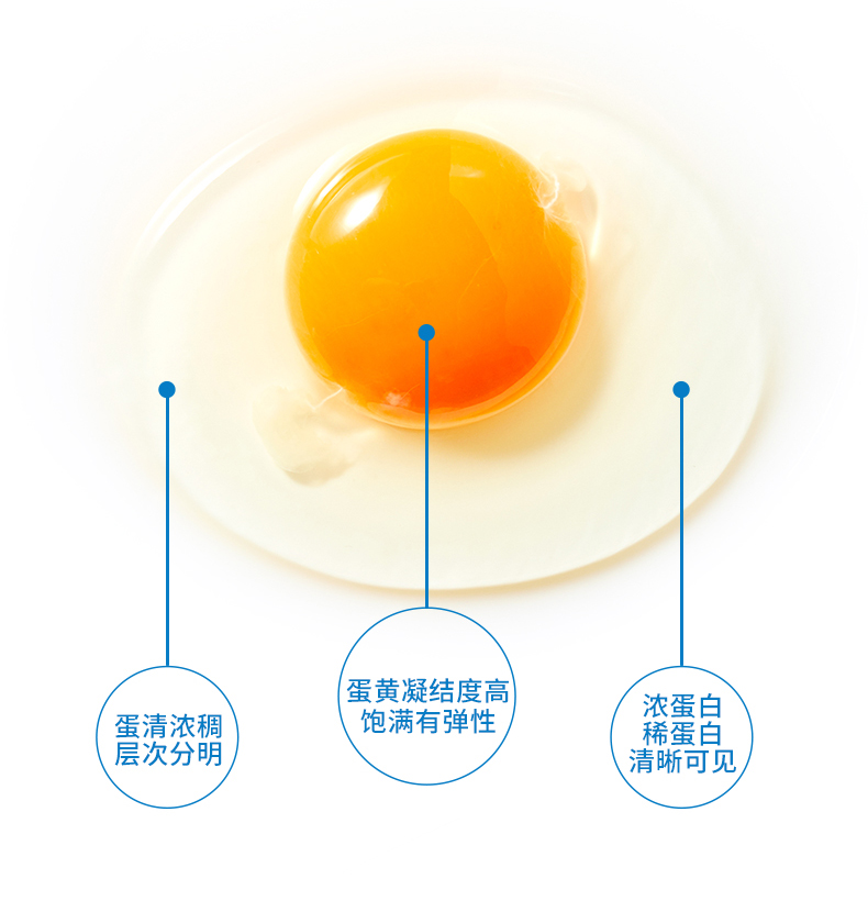 【40枚】只发当日A级鲜鸡蛋