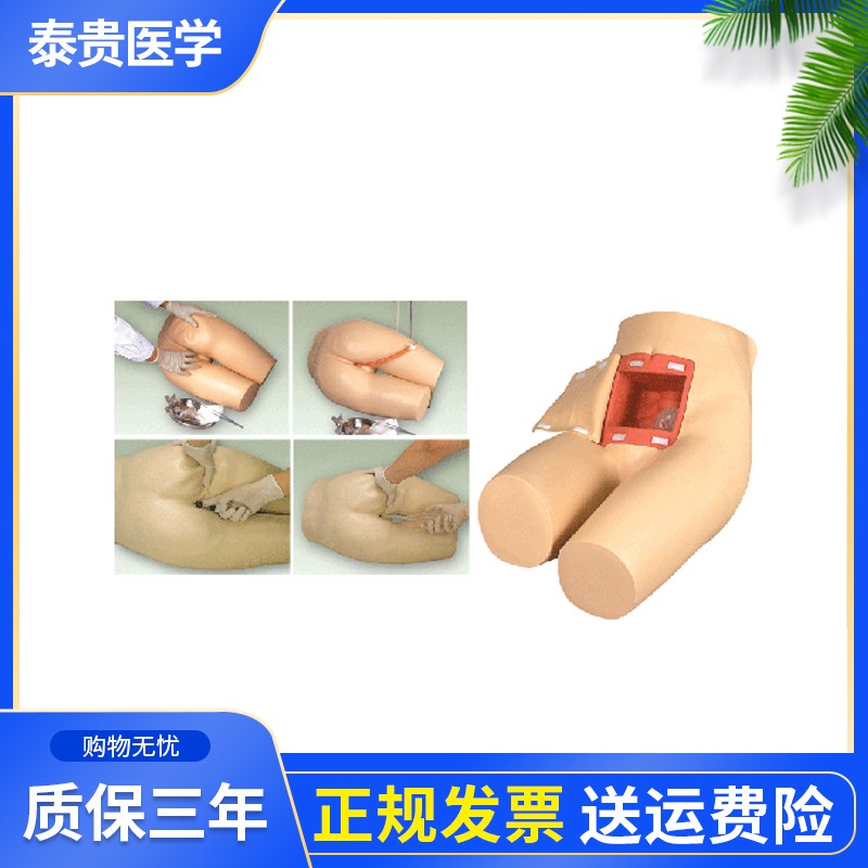 泰贵医学TG/H35灌肠和辅助排便训练模型