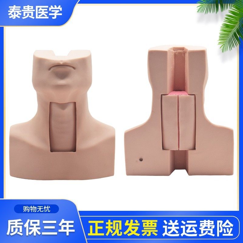 泰贵医学TG/J58高级环甲膜穿刺及气道切开插管训练模型
