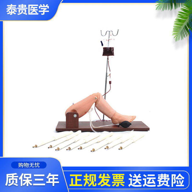 泰贵医学TG/L65A骨髓穿刺及股静脉模型人体股动搏动静脉回深静脉穿刺训练教学模具