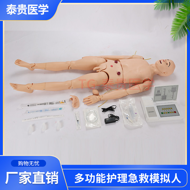 高级成人护理及CPR模型人  KAJ/15168