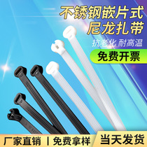 Marine insert steel tooth nylon cable tie self-locking high and low temperature resistant steel tooth iron tongue tie cable tie