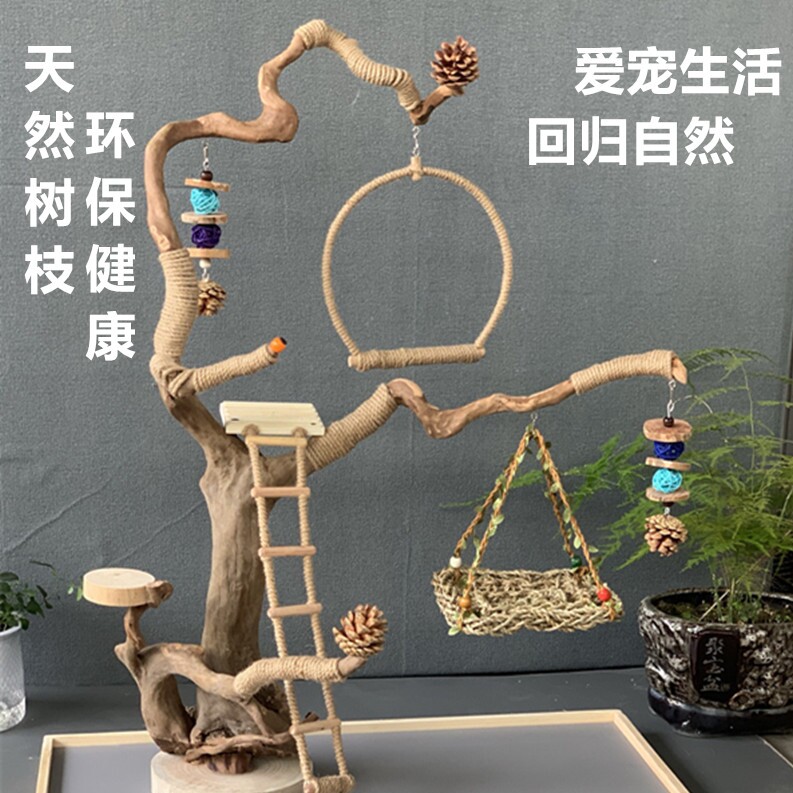 飞羽原创