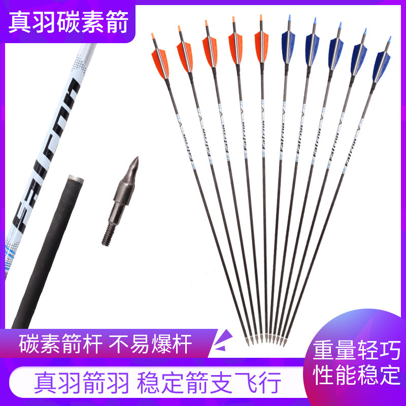 弓箭真羽箭支測評｜戶外射準選這支碳箭就夠了！