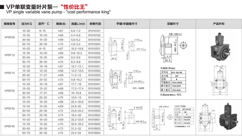 Bơm dầu thủy lực Juntai Bơm cánh gạt VP30 VP-SF-20-D VP-SF-12/15-D VP-SF-30/40-D cấu tạo của bơm thủy lực motor bơm dầu thủy lực