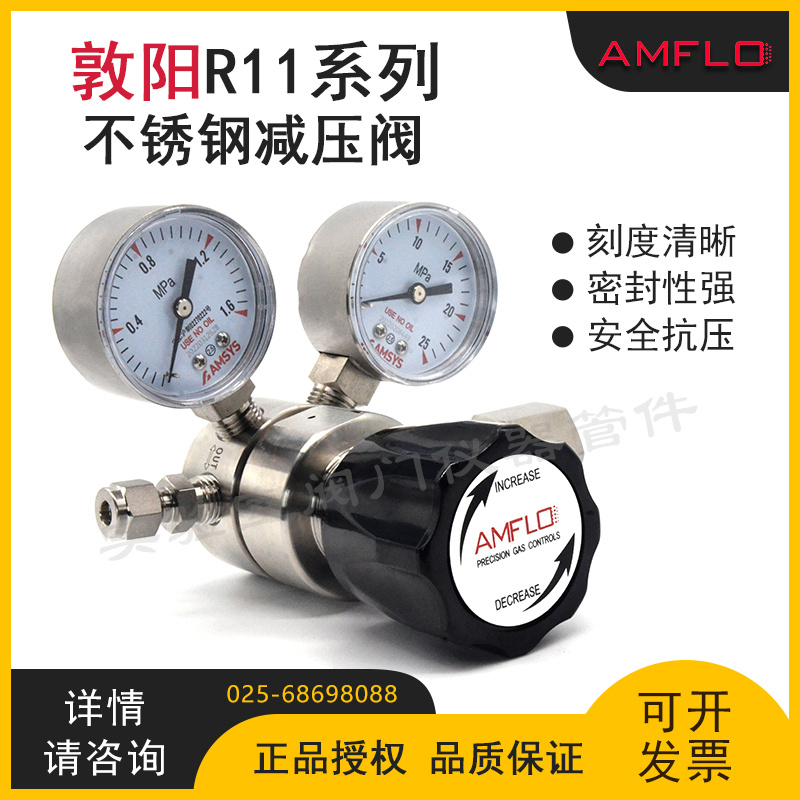 Dunyang AMFLO stainless steel first-stage pressure reducing valve R11LG R11BB Dunyang nitrogen hydrogen helium pressure reducer