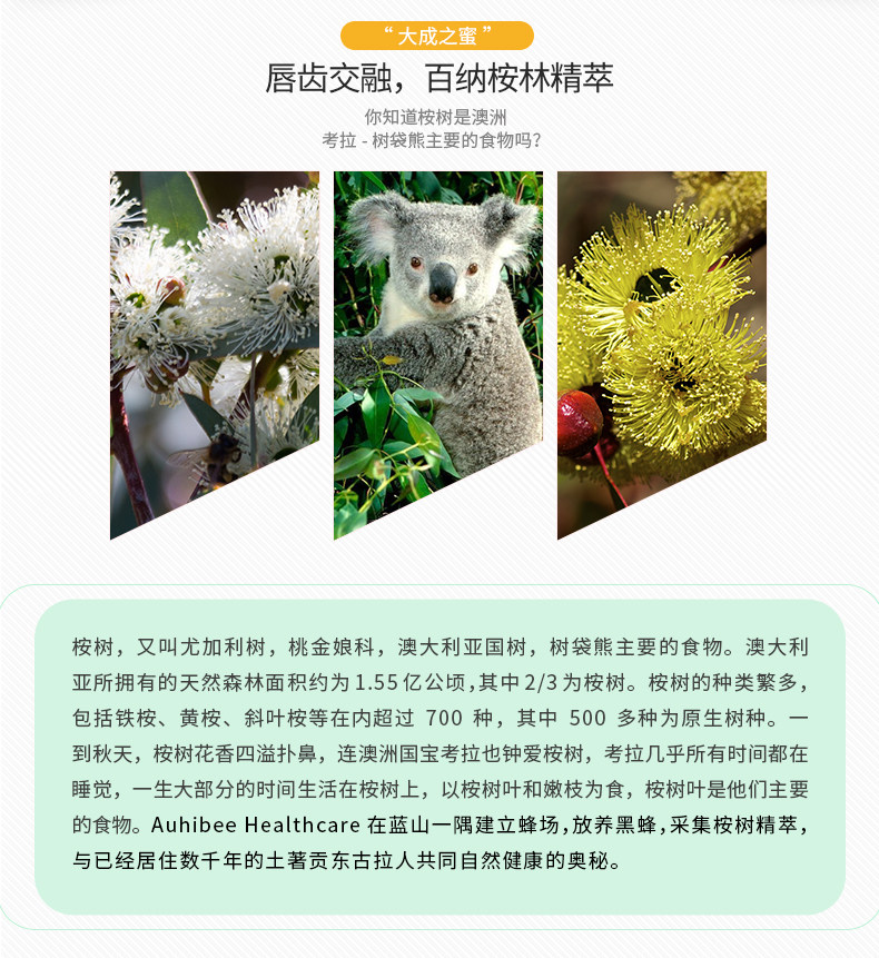 澳洲原装进口 Auhibee 澳碧 混合桉树蜂蜜/山龙眼蜂蜜 500克 图2