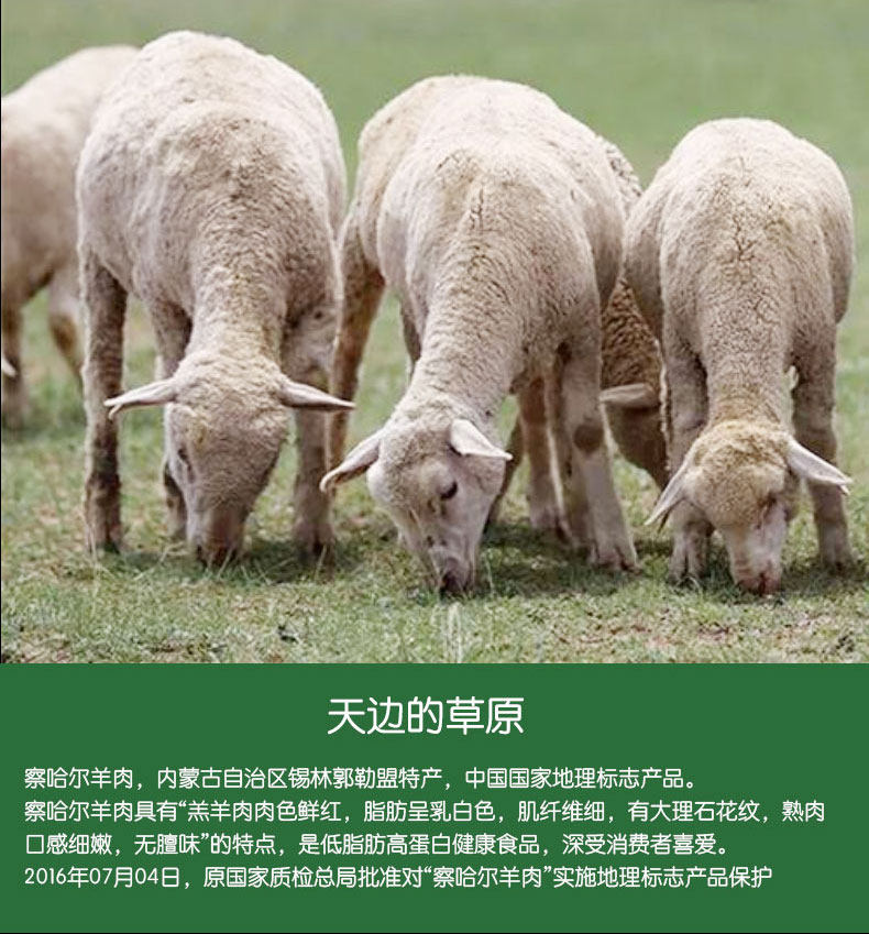 老诚一锅 内蒙羔羊羊排火锅 加热即食 1000g 图7