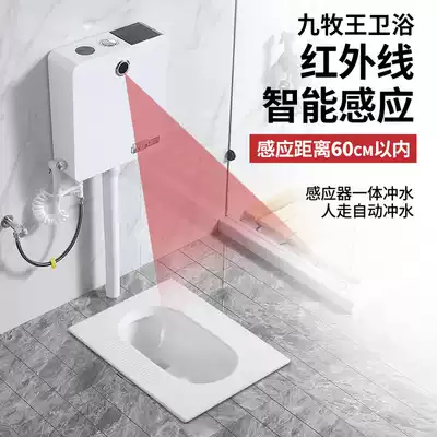 Intelligent induction squatting urinal squatting pit automatic flushing water tank Household toilet flushing toilet Public toilet powder room urinal