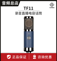 TELEFUNKEN DLAY TF11 heart type pointed to professional recording electronic tube capacitor microphone