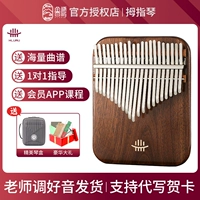 21 Yinzun Edition+Информация об обучении подаркам+пианисты