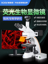 Omicrofluorescence biomicroscope high-definition high-fold professional scientific research computer photo recording export data biology medical clinical colleges and universities research L208F-3M830F