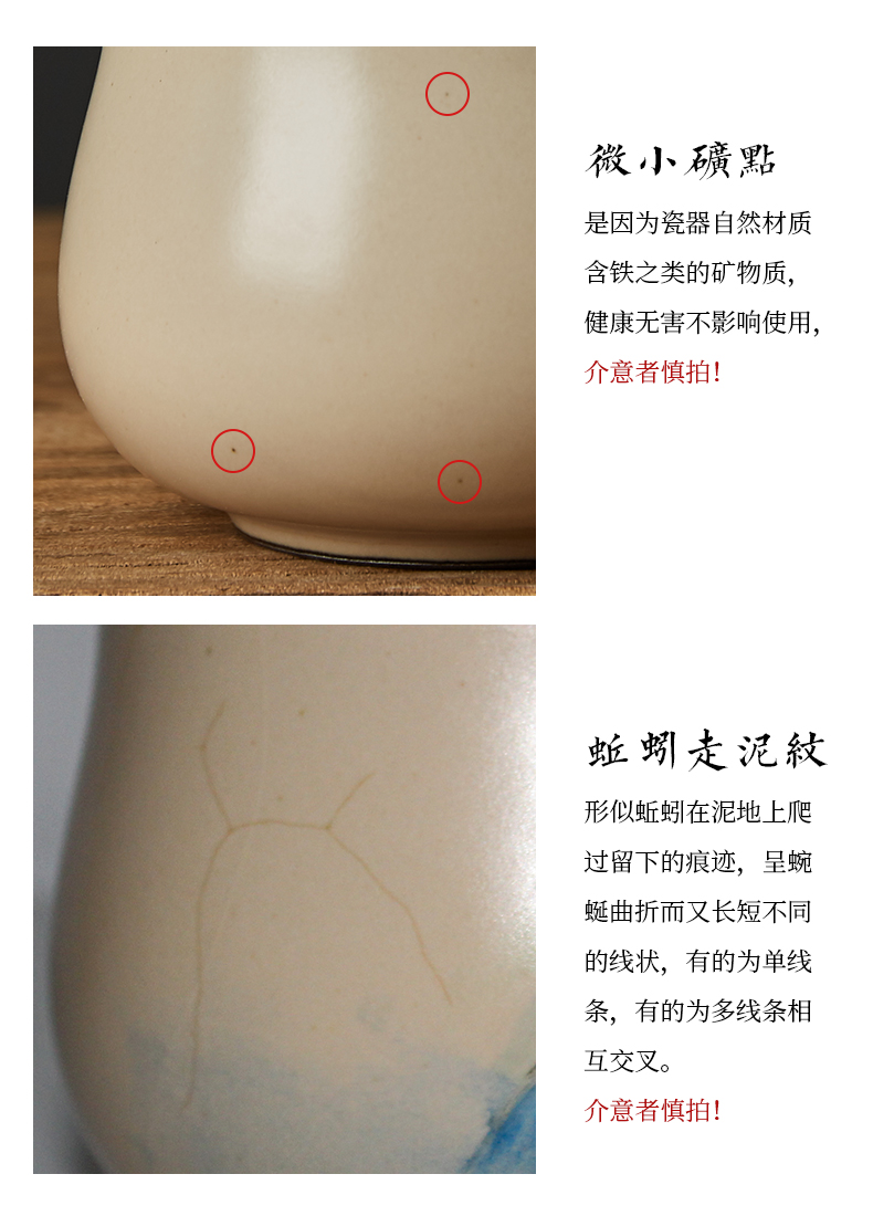 Shot incarnate your up on hand - made scenery censer jingdezhen ceramic kung fu tea set with parts cicada fancy there are scented