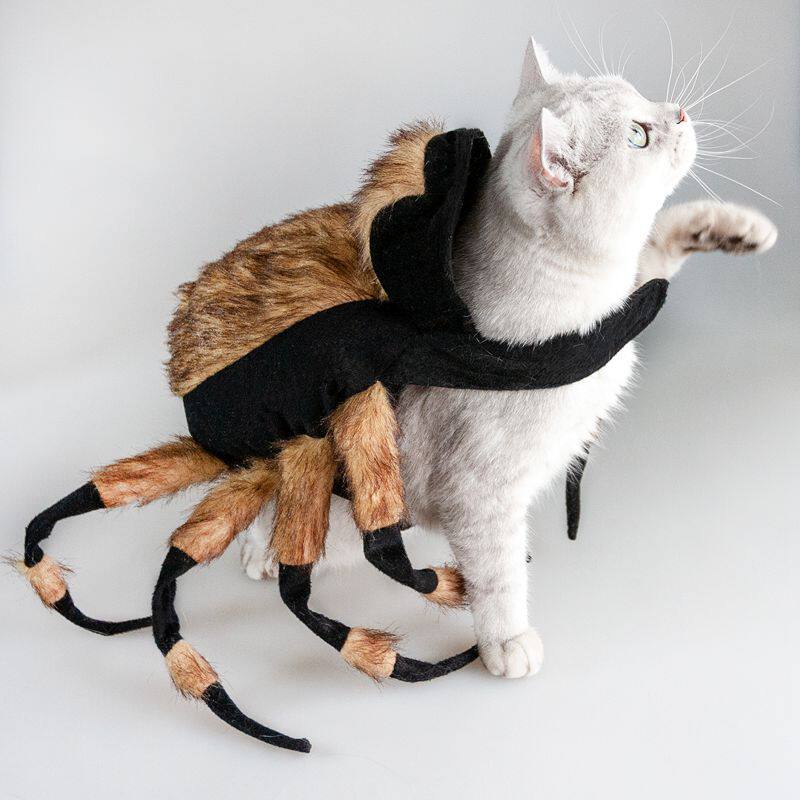New cross-border Halloween hot selling pet costumes cat simulation spider spoof clothes funny costumes