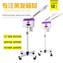 Taidong sprayer facial sauna massager sprayer KL-839 cleaning enhanced double-tube hot and cold spray
