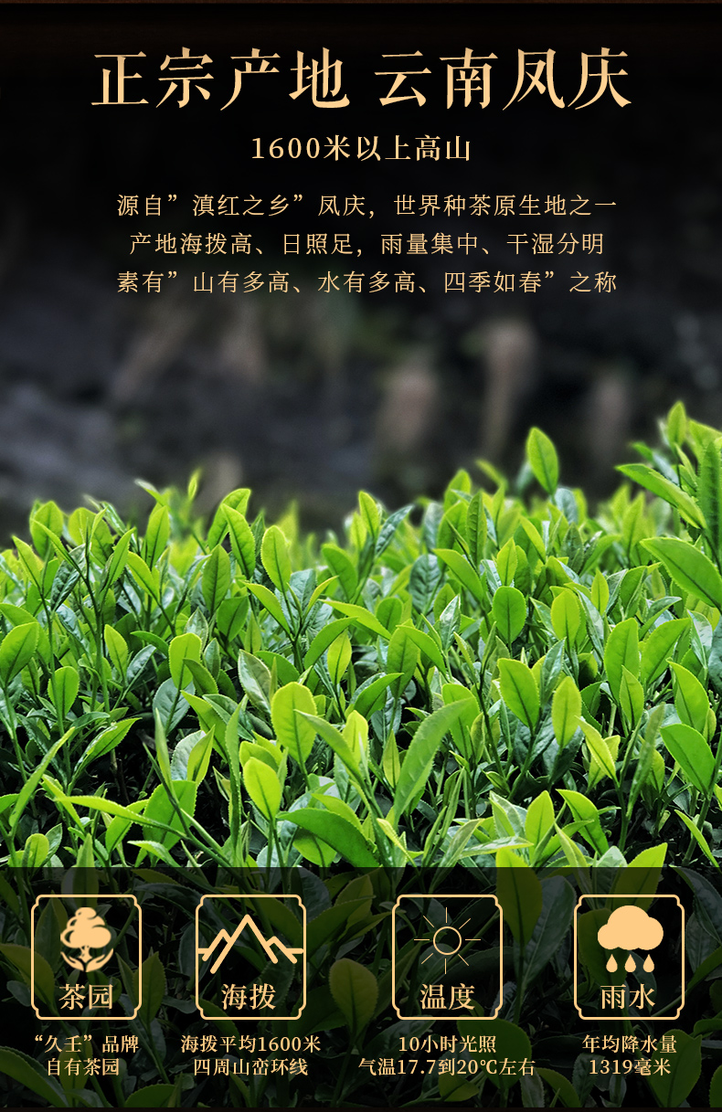 【久壬】云南凤庆古树红茶500g