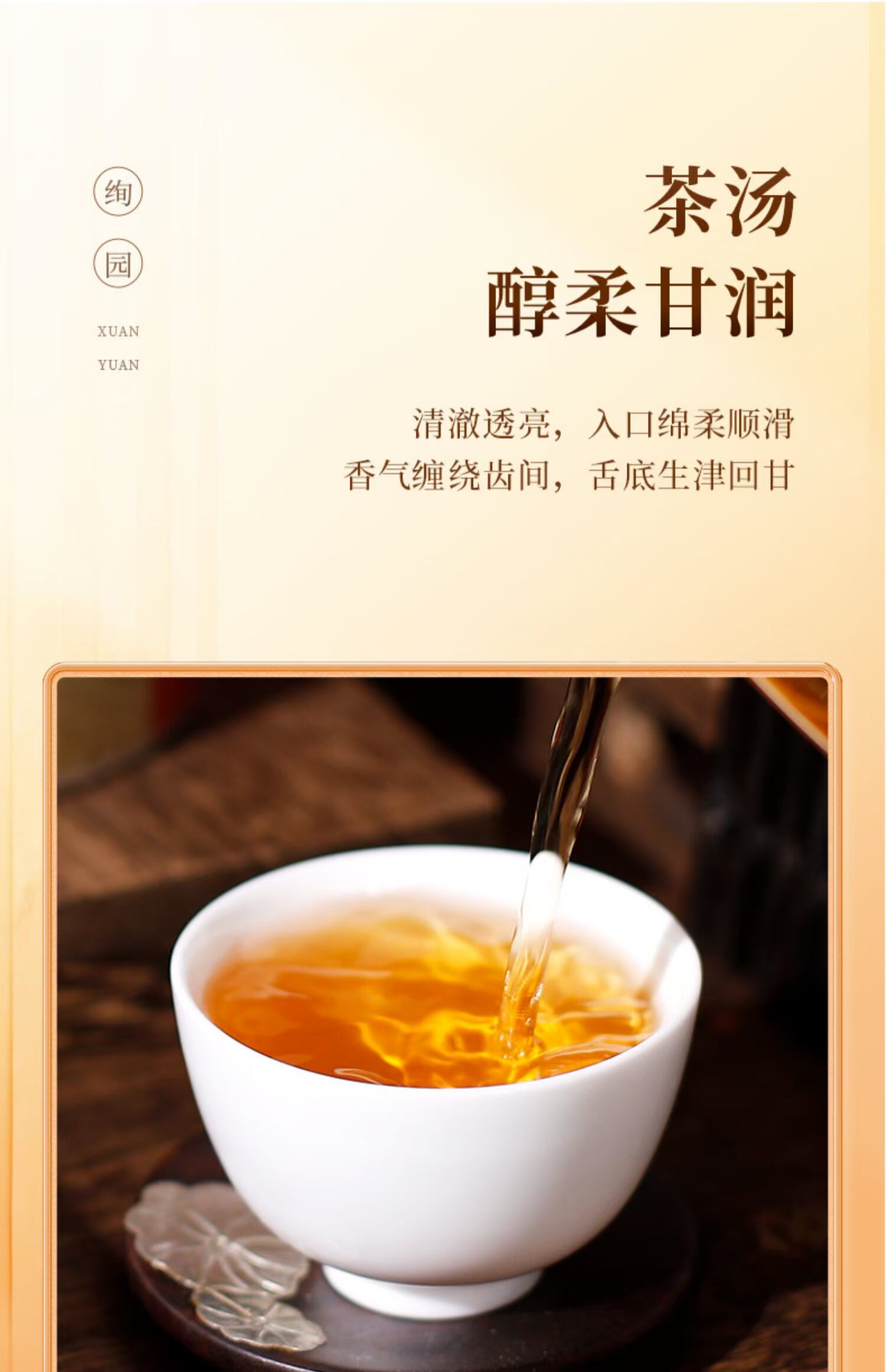 绚园初露正山小种红茶特级