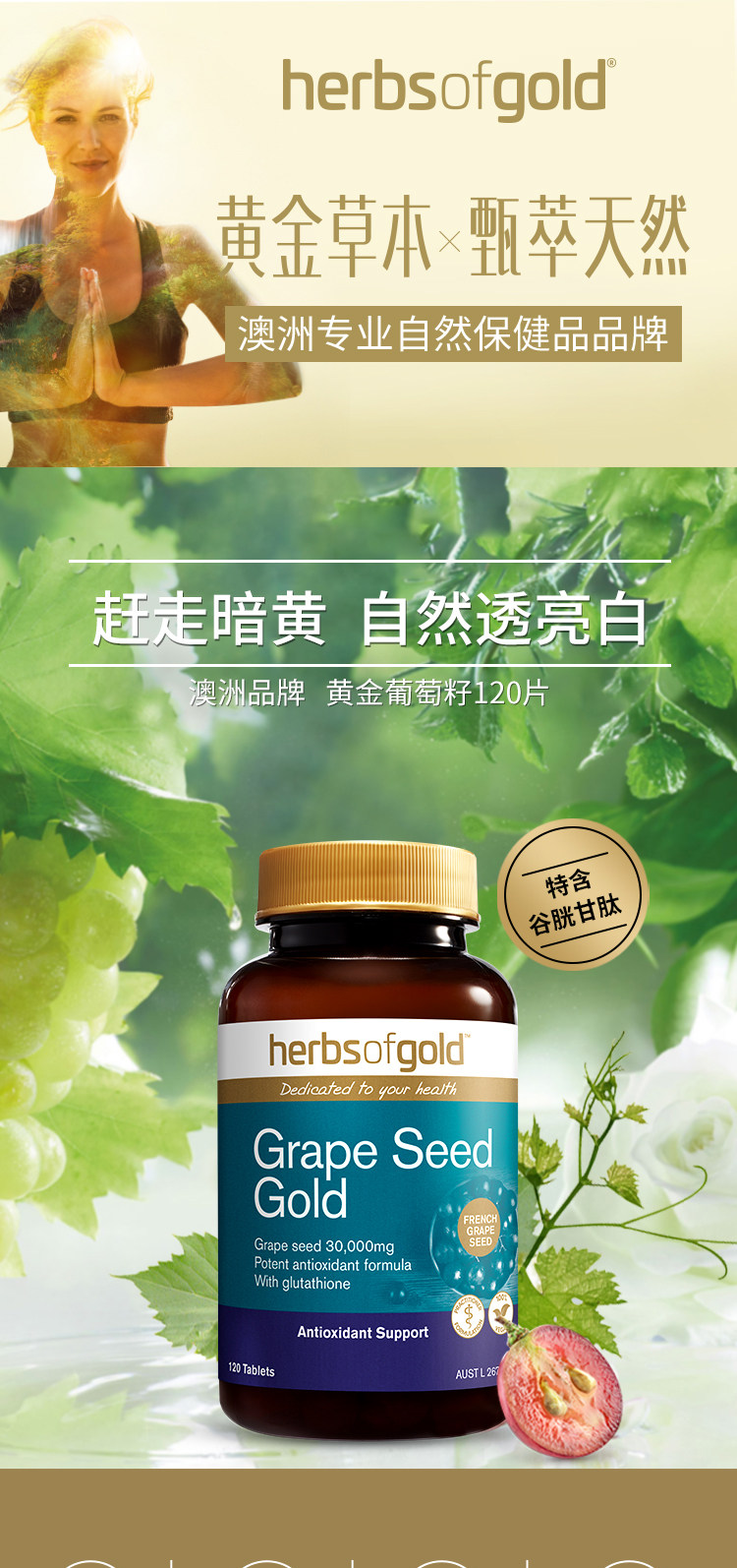 澳洲herbsofgold黃金草本葡萄籽花青素精華片非膠囊維生素e提取物