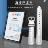 Адаптированная серия Casio Shin 5420 She-3034 2749 She-4029 Женская выпуклая группа