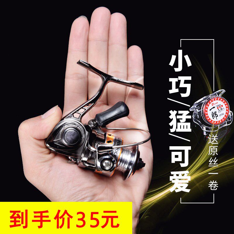 Roll winder 1000 micro-object fishing wheel stainless steel all-metal fish wire wheel palm Chinese precious little fish wheel fish furniture supplies big