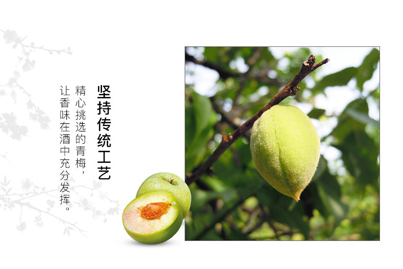 日本进口 BEAM SUNTORY/宾三得利 低度青梅酒 2L 双重优惠折后￥142.72包邮 送威士忌杯1个