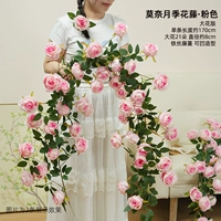 Розовый крупноцветковый вариант розовой лозы Моне, цельный кусок длиной 1,7 метра.