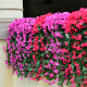 Simulated violet flower vine plastic fake flower wall hanging kindergarten balcony fence wall hanging flower vine indoor wall hanging floral art