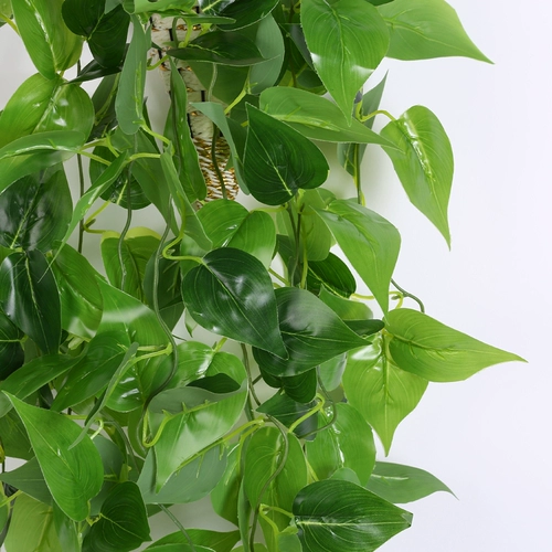 Симуляция зеленая живая стена висящая гостиная на стене зеленое растение