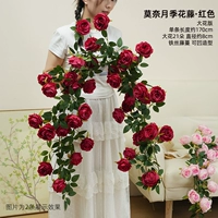 Красная крупноцветковая версия розовой лозы Моне, цельная, длиной 1,7 метра.