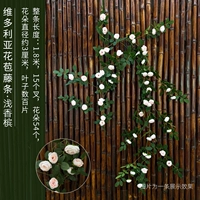 1,8 метра Victoria Vine мелкое шампанское, одна проволочная лоза, легко выпуклая форма