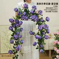 Звездное небо, фиолетовый, большой цветок, розовая лоза Моне, длина 1,7 метра