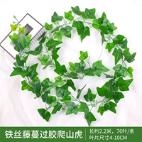 Версия Железного Тенга, передавая глобальный тигр 1