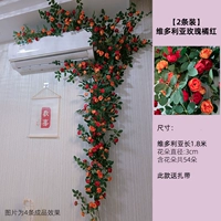 Оранжево-красная викторианская винограда/2 цветочная виноводная лоза легко выпукнуть