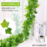 5 оборудования для восхождения на резинки тигр