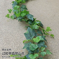 Транспортное средство для прохождения железной лозы