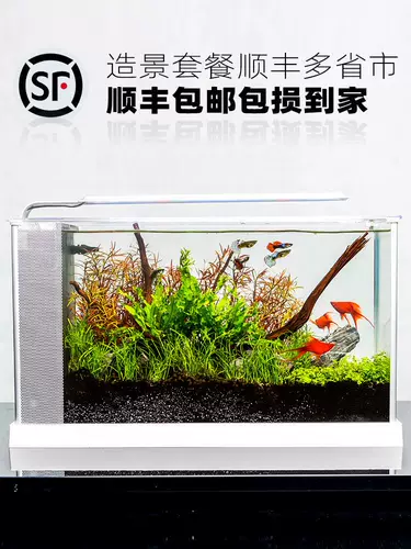 Экологическая бутылочка рыбака рыба -фермерский фермерский фермерский бассейн дома мини -мини.Маленький аквариум -аквариум аквариум по декоративному офису